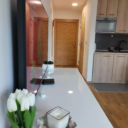 Mdm Apartment Vrnjacka Banja
