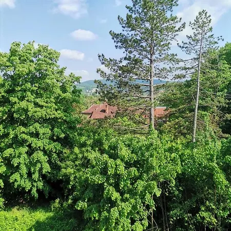 Mdm * Vrnjačka Banja