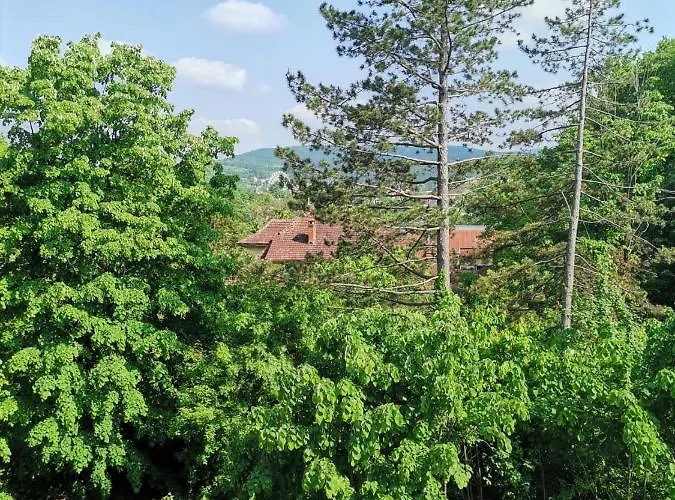 Mdm * Vrnjačka Banja